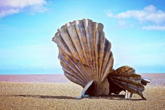 IMG_2884-e1476903397489