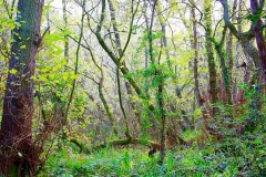 batch_IMG_4377