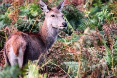 IMG_2797-e1476816531439