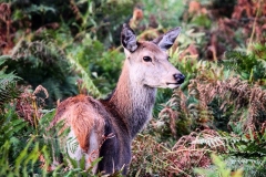 IMG_2799-e1476816514805