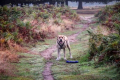 IMG_2800-e1476816502111