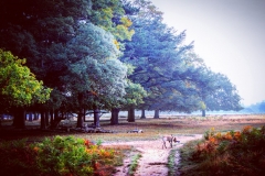 IMG_2802-e1476816466373