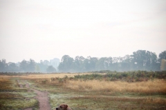 IMG_2803-e1476816448249