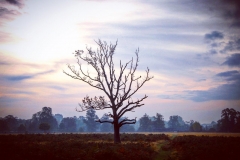 IMG_2806-e1476816300276