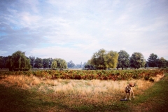 IMG_2807-e1476816289232