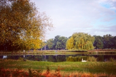 IMG_2808-e1476816278435