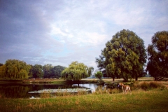 IMG_2809-e1476816267685