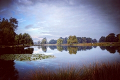 IMG_2810-e1476816255818