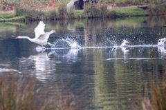 IMG_2812-e1476816241478