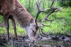 IMG_2813-e1476816225853