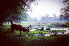 IMG_2815-e1476816203996