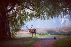 IMG_2818-e1476816120718