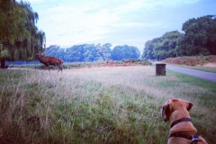 IMG_2819-e1476816106461