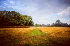 IMG_2820-e1476816077253