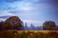 IMG_2823-e1476816015663