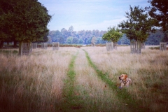 IMG_2827-e1476815951451