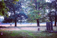 IMG_2829-e1476815925949