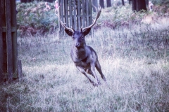 IMG_2830-e1476815911979