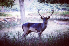 IMG_2831-e1476815898316