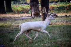 IMG_2832-e1476815846356