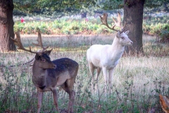 IMG_2833-e1476815833197