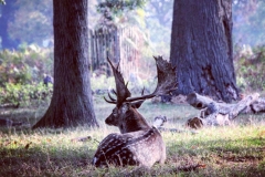 IMG_2837-e1476815780558