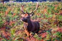 IMG_2838-e1476815768812