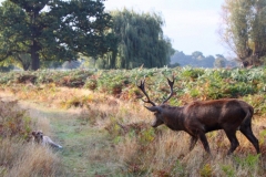 IMG_2839-e1476815746666