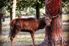 IMG_2841-e1476815727307