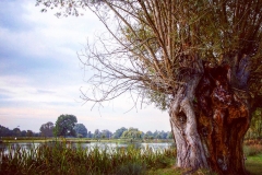 IMG_2842-e1476815715297