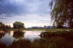 IMG_2844-e1476815568132