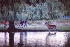 IMG_2845-e1476815551374