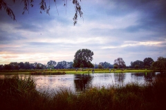 IMG_2846-e1476815520800