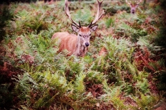 IMG_2848-e1476815494985