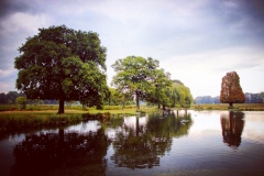 IMG_2849-e1476815475502