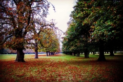 IMG_2851-e1476815450432