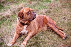 IMG_2852-e1476815438416