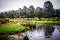 IMG_2854-e1476815384280