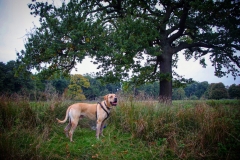 IMG_2855-e1476815365705