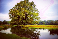 IMG_2856-e1476815340193