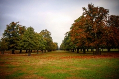 IMG_2857-e1476815329824