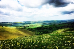 IMG_1727-e1475694495532