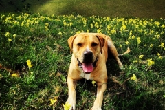 IMG_1732-e1475694482662