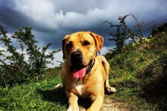 IMG_1734-e1475694440881