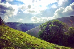 IMG_1735-e1475694426112