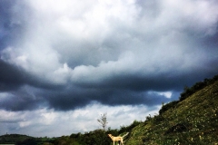 IMG_1736-e1475694415633