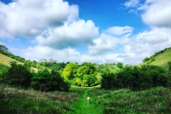 IMG_1738-e1475694388712