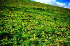 IMG_1739-e1475694373798