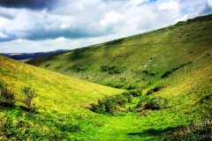 IMG_1740-e1475694358117