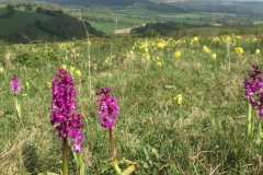 IMG_1742-e1475694343512